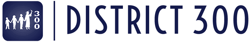 District 300 logo